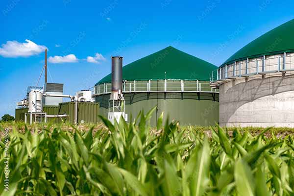 Biomass Energy